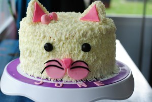 cat cake11