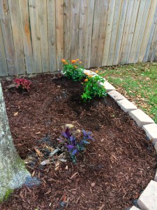 flower bed addition, after picture